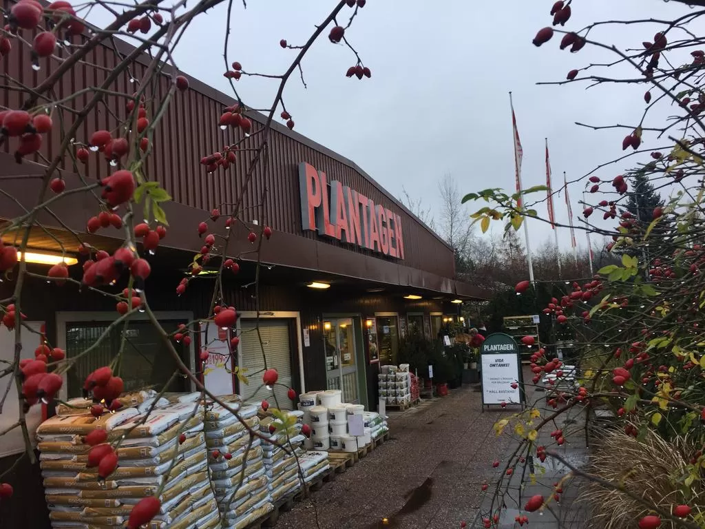 Butiken Plantagen i Farsta blir hemlös efter jul | Mitt i